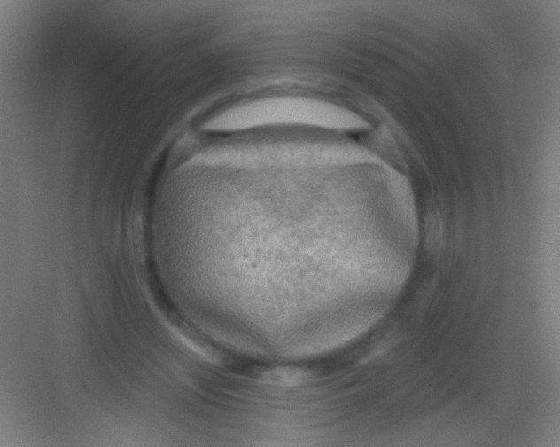 X0000081280444200702081957