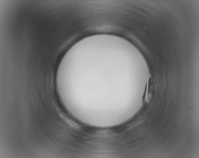 X0000081280446200702081957