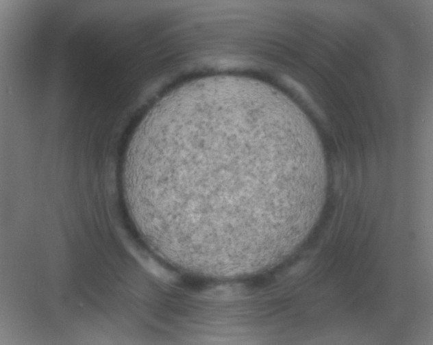 X0000081280447200702081957