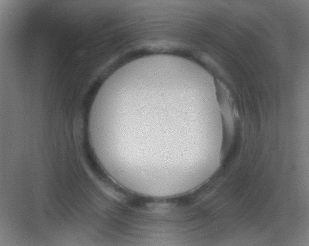 X0000081280448200702081957