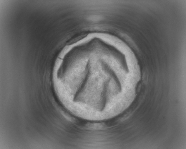 X0000081280449200702081957