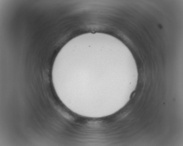 X0000081280450200702081957