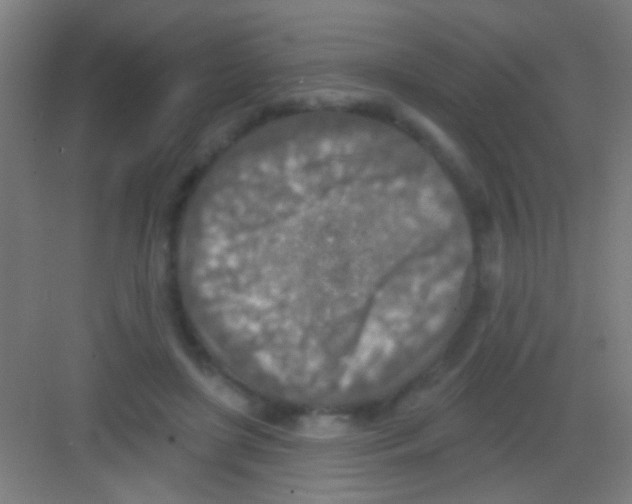 X0000081280451200702081957