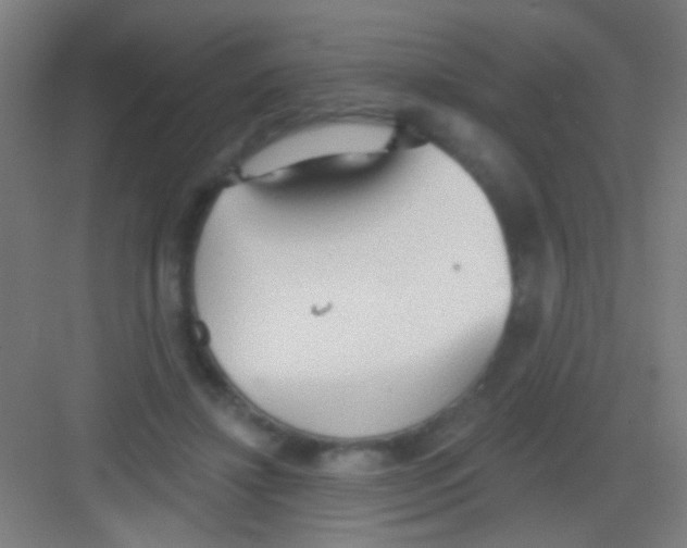 X0000081280452200702081957