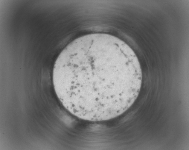 X0000081280453200702081957