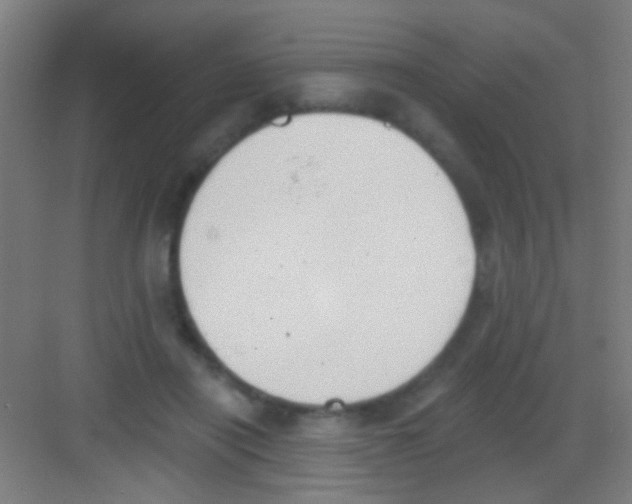 X0000081280454200702081957