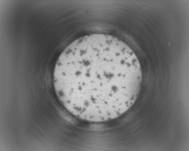 X0000081280457200702081957