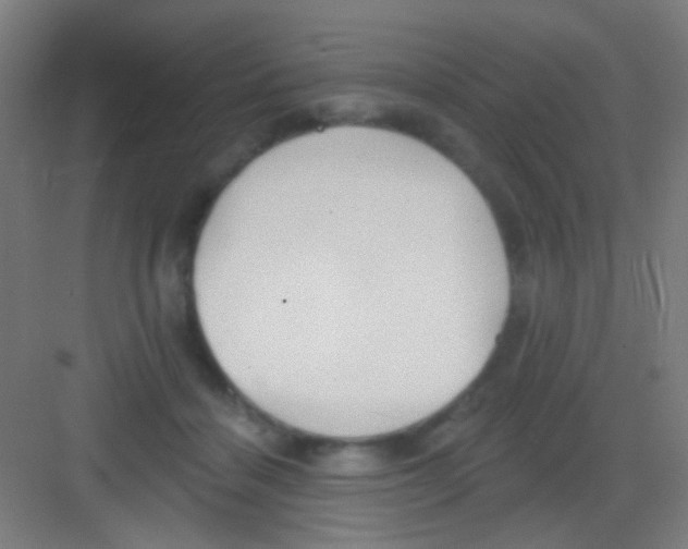 X0000081280460200702081957