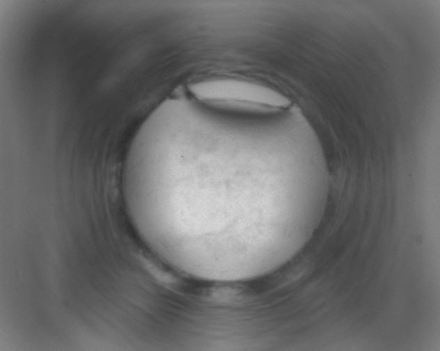 X0000081280462200702081957