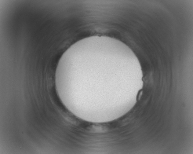 X0000081280464200702081957