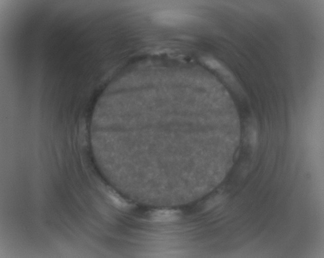 X0000081280465200702081957