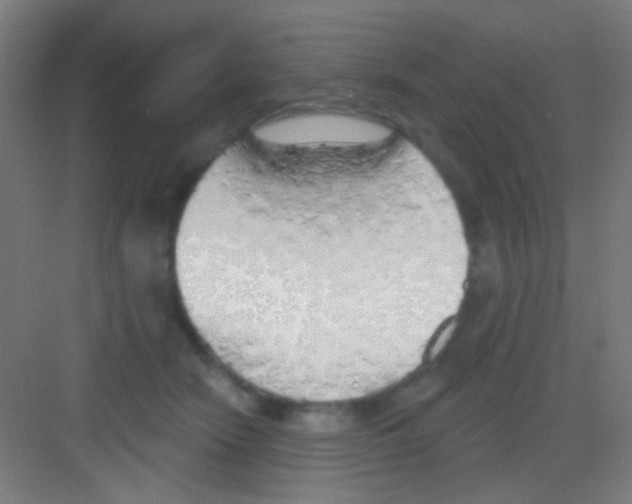 X0000081280466200702081957