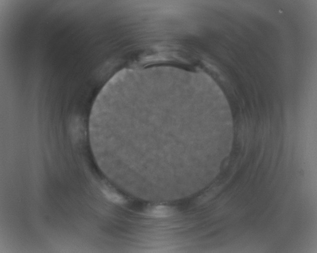 X0000081280467200702081957