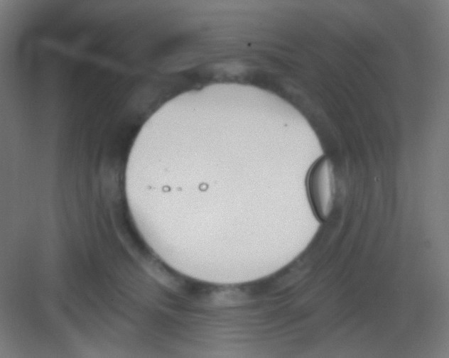 X0000081280468200702081957