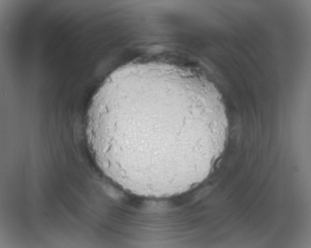 X0000081280469200702081957