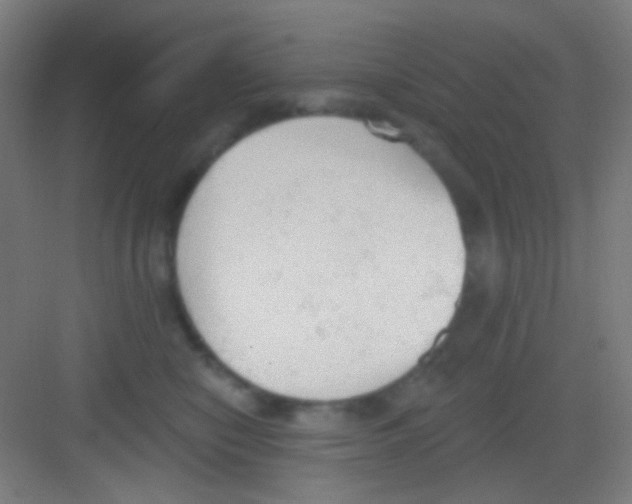 X0000081280470200702081957