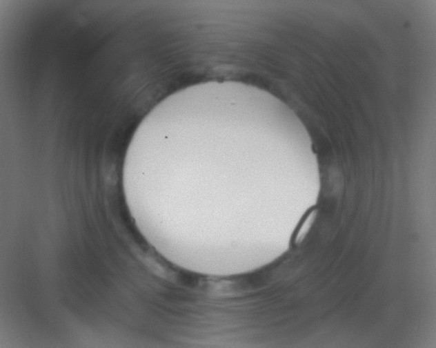 X0000081280472200702081957