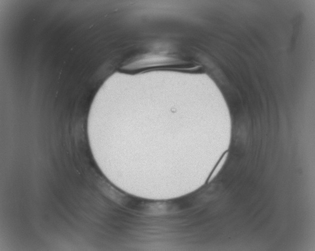 X0000081280473200702081957