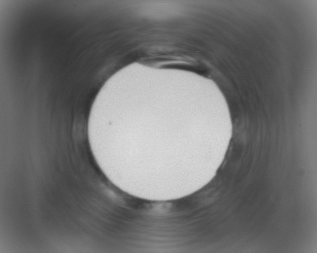 X0000081280474200702081957