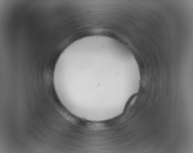 X0000081280476200702081957