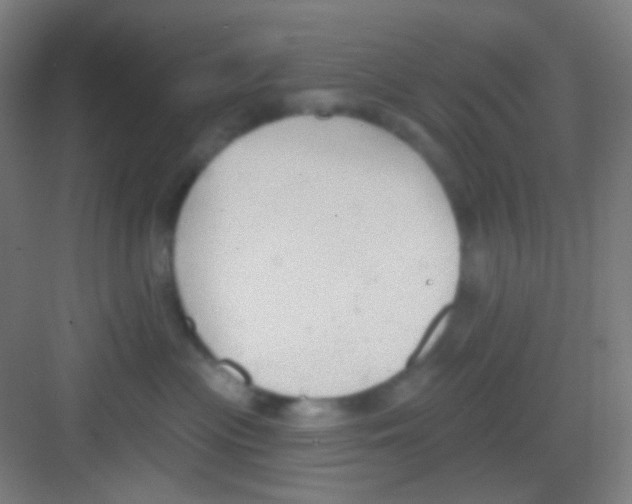 X0000081280477200702081957