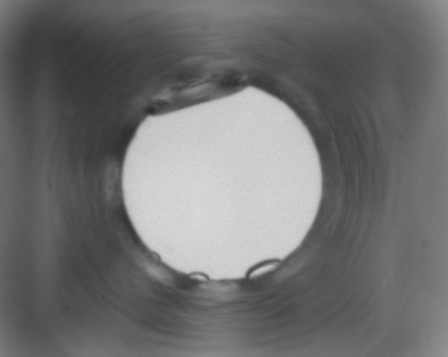 X0000081280480200702081957