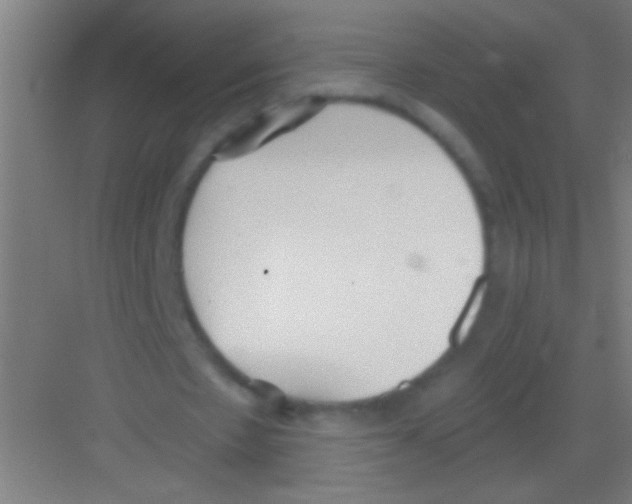 X0000081280481200702081956