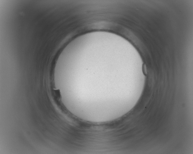 X0000081280482200702081956