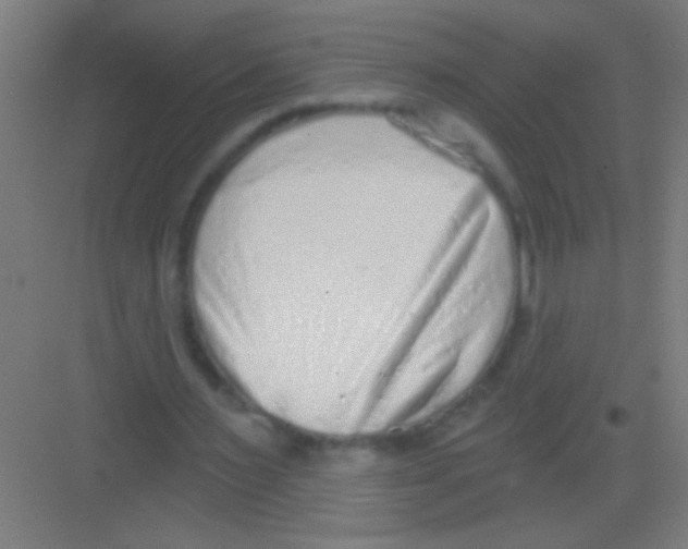 X0000081280483200702081956