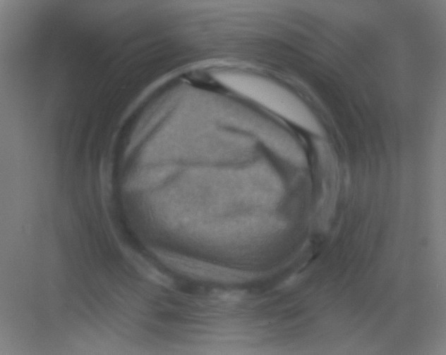 X0000081280484200702081956