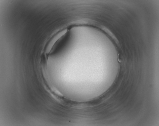 X0000081280485200702081956