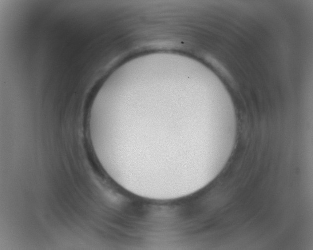 X0000081280486200702081956