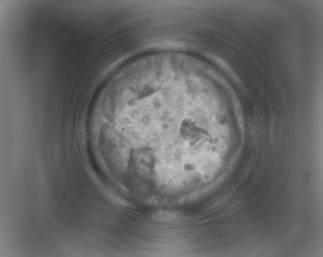 X0000081280487200702081956