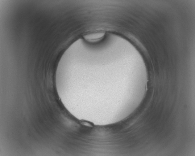 X0000081280489200702081956