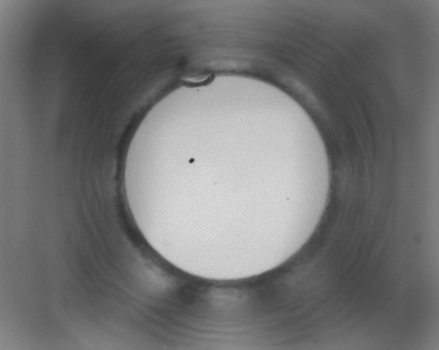 X0000081280490200702081956