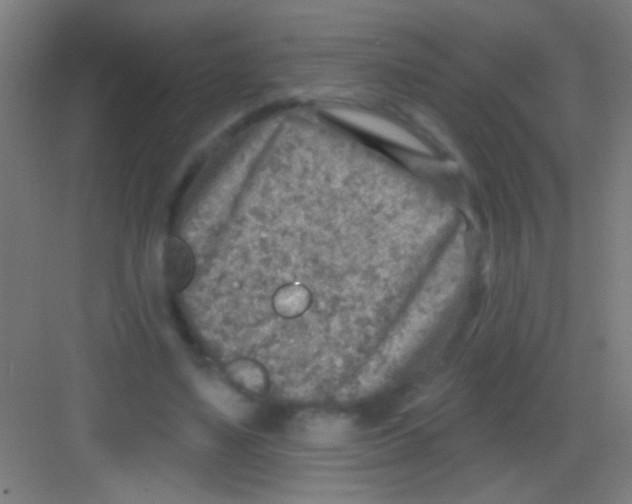 X0000081280491200702081956