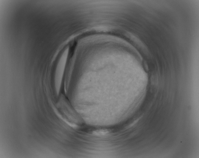 X0000081280492200702081956