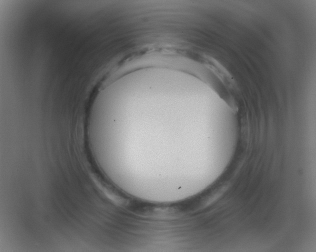 X0000081280493200702081956