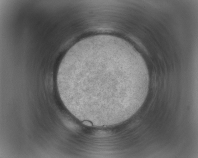 X0000081280494200702081956