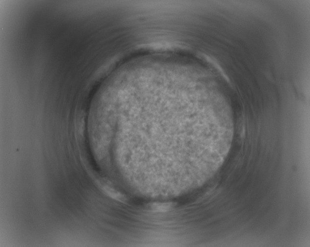 X0000081280495200702081956