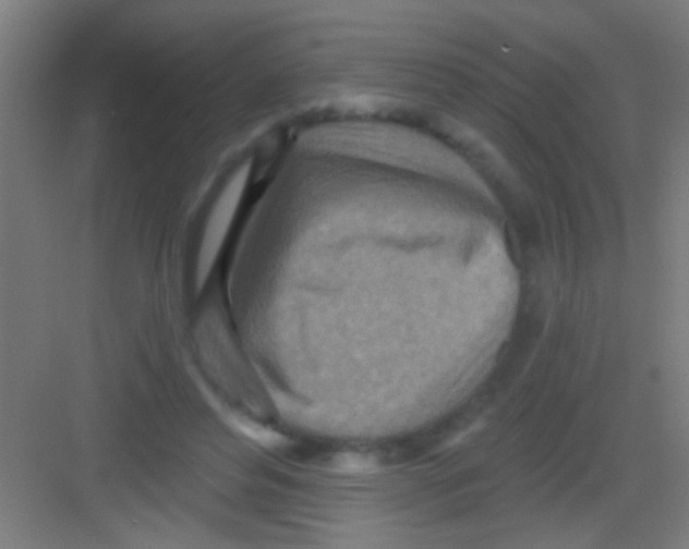 X0000081280496200702081956