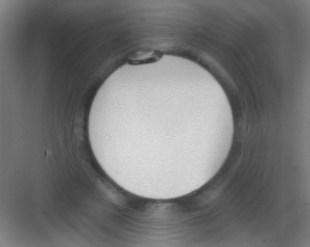 X0000081280497200702081956