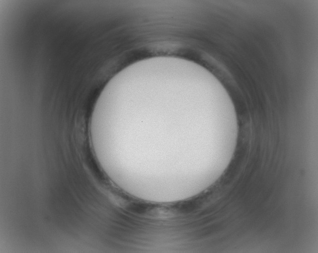 X0000081280498200702081956