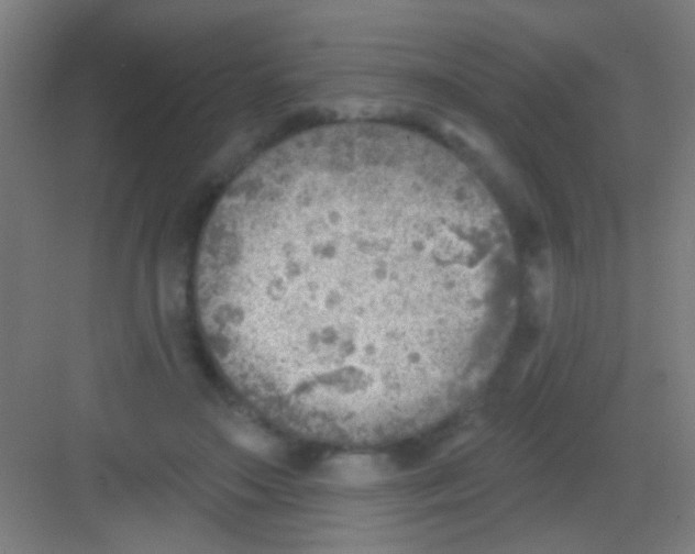 X0000081280499200702081956