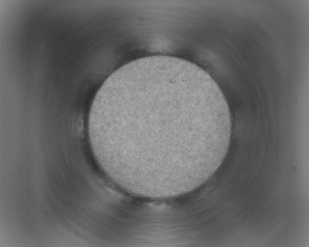 X0000081280502200702081956