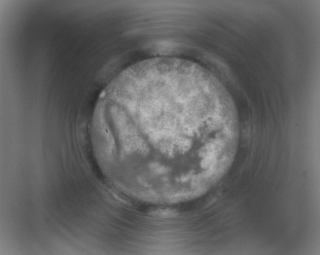 X0000081280503200702081956