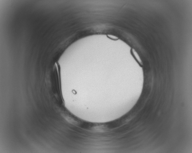 X0000081280505200702081956