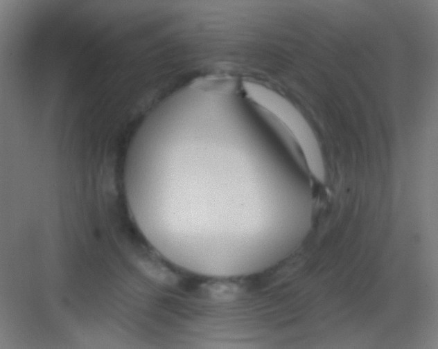 X0000081280512200702081956