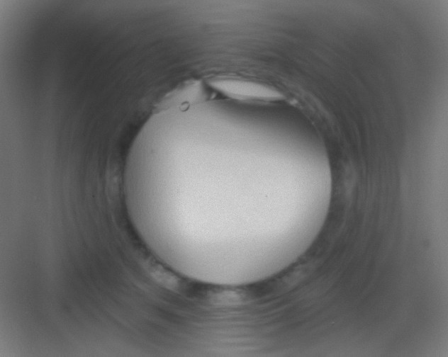 X0000081280513200702081956