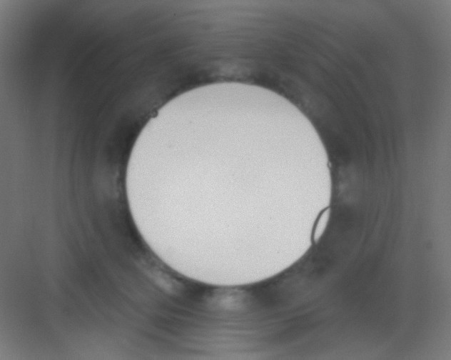 X0000081280514200702081956